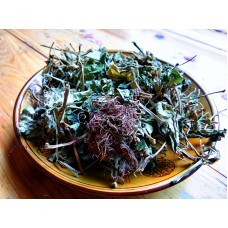 Bai Ce Er, White lateral ear, 白侧耳, Weight - 500g, Free Shipping 