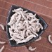 Bai Jiang Can, white silkworm, 白僵蚕, Weight - 500g, Free Shipping 