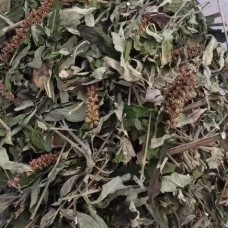 Bai Bei Feng, White back maple, Buddleja asiatica Lour., 白背枫, Weight - 250g, Free Shipping