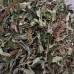 Bai Bei Feng, White back maple, Buddleja asiatica Lour., 白背枫, Weight - 250g, Free Shipping
