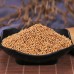 Bai Jie Zi, white mustard seed, 白芥子, Weight - 500g, Free Shipping 