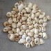 Bai Luo Si Ke, spiral shell , 白螺蛳壳, Weight - 500g, Free Shipping 