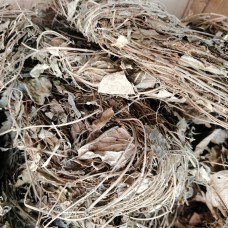 Bai Ling Cao, Marsdenia longipes, 百灵草, Weight - 500g, Free Shipping 