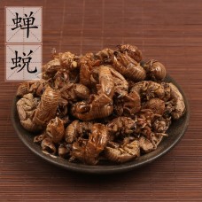 Chan Tui, Periostracum Cicadae, 蝉蜕, Weight - 50g, Free Shipping 