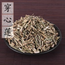 Chuan Xin Lian, Common Andrographis Herb, 穿心莲, Weight - 500g, Free Shipping 