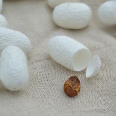 Can Jian, , Silk Cocoon , Weight - 500g, Free Shipping 