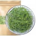 Laoshan Dianthus Tea 500g: Non-wild, fresh tender, brewed with light bamboo leaves.