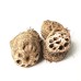 Ou Jie, Lotus Rhizome Node, 藕节, Weight - 500g, Free Shipping 