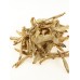 Shan Hai Luo, Lance Asiabell Root, 山海螺, Weight - 250g, Free Shipping 