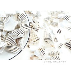 Wa Leng Zi,  Ark Shell, 瓦楞子, Weight - 500g, Free Shipping 