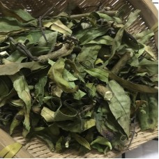 Xiao Bo Gu, Herba Gendarussae, 小驳骨, Weight - 500g, Free Shipping 