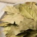 Xiang Ye, Fragrant leaves, 香叶, Weight - 500g, Free Shipping 