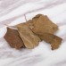 Yin Xing Ye, Ginkgo Leaf, 银杏叶, Weight - 500g, Free Shipping 
