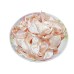 Yu Biao, Swimming Bladder,鱼鳔, Weight - 500g, Free Shipping 