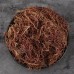 Zi Yuan, Tatarian Aster Root,紫苑, Weight - 250g, Free Shipping 