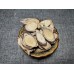Zi Teng Gen, Wisteria root, 紫藤根, Weight - 500g, Free Shipping 