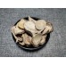Zi Teng Gen, Wisteria root, 紫藤根, Weight - 500g, Free Shipping 
